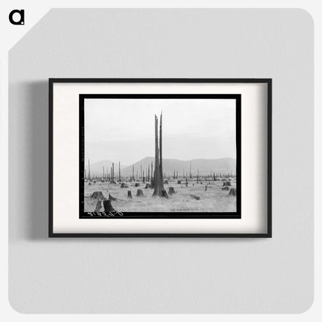 1-57_Dorothea-Lange_blk