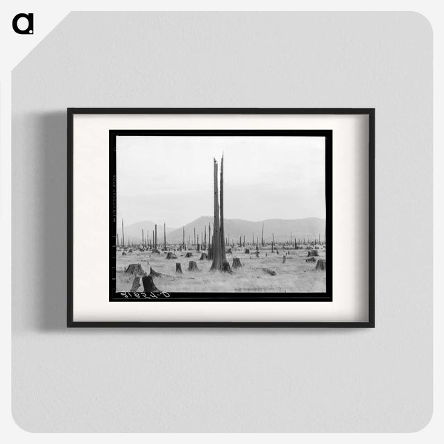1-57_Dorothea-Lange_blk