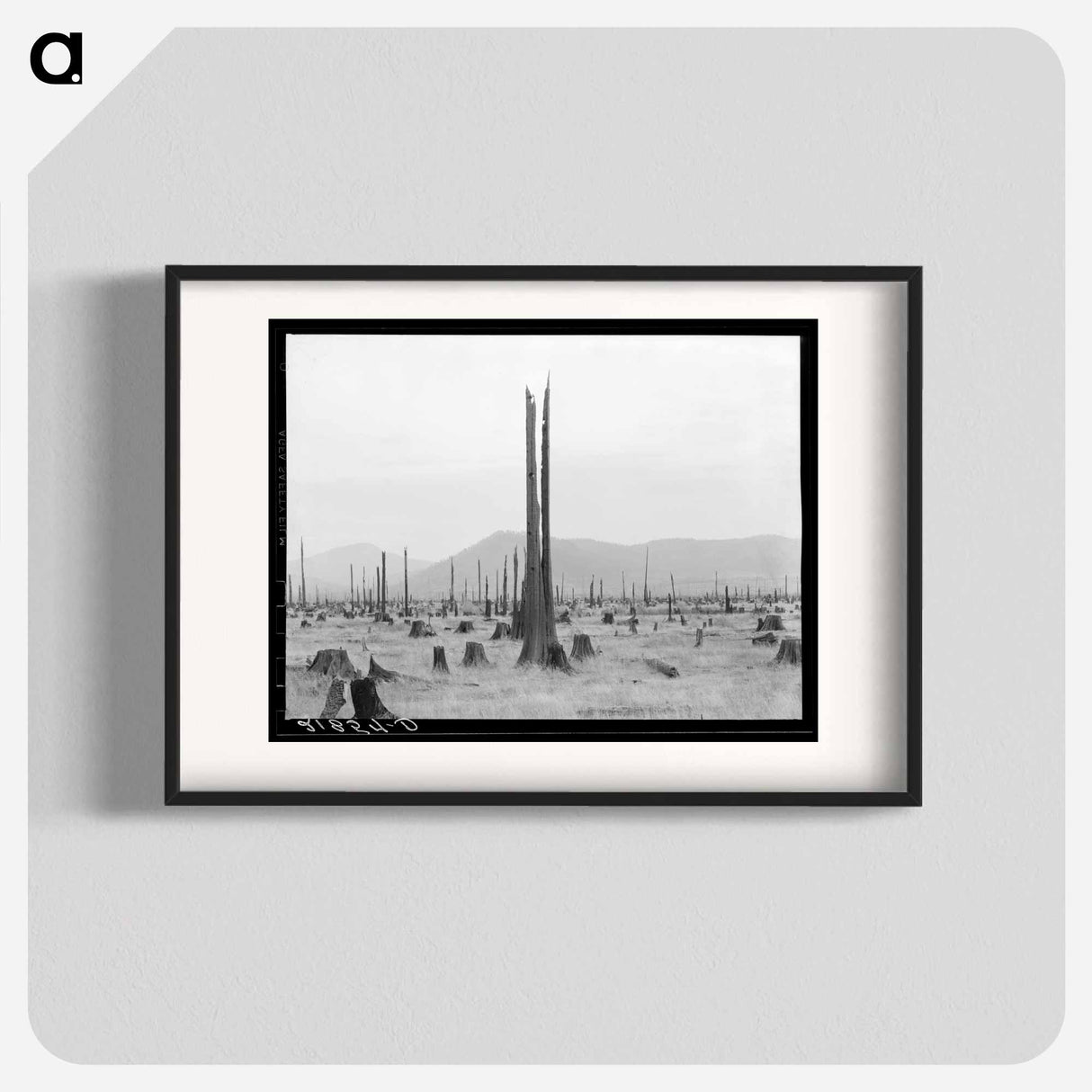 Untitled photo - Dorothea Lange Poster.