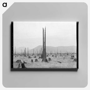 1-57_Dorothea-Lange_canvas