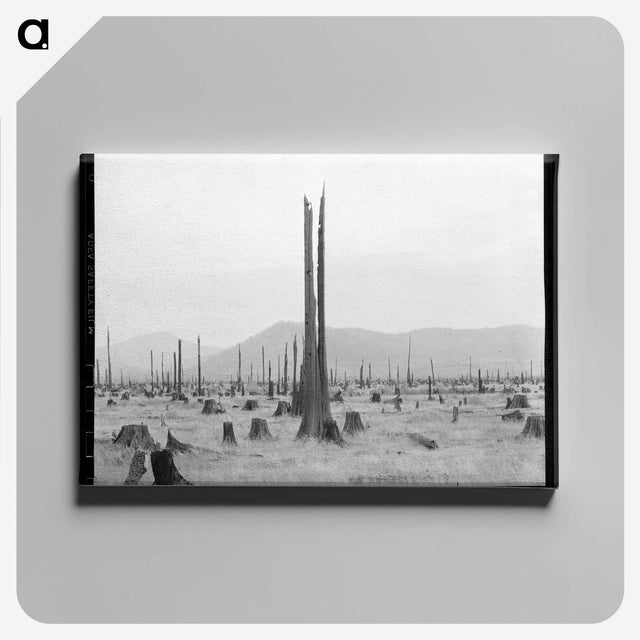 1-57_Dorothea-Lange_canvas