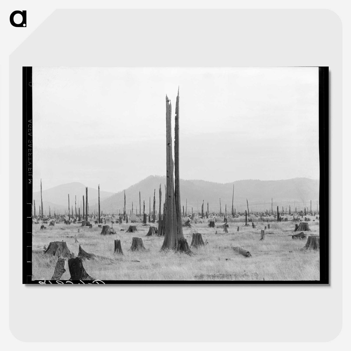 1-57_Dorothea-Lange_picture-crop