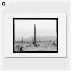 1-57_Dorothea-Lange_picture
