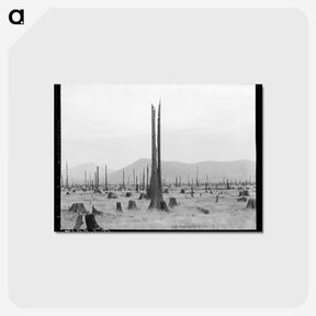 1-57_Dorothea-Lange_postcard