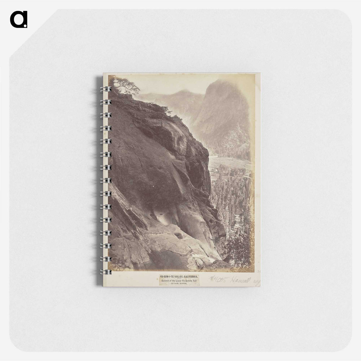 1-57_Eadweard-Muybridge_memo