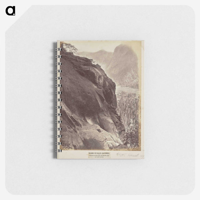 1-57_Eadweard-Muybridge_memo
