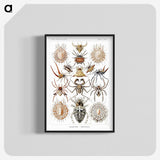 1-57_Ernst-Haeckel_blk-crop