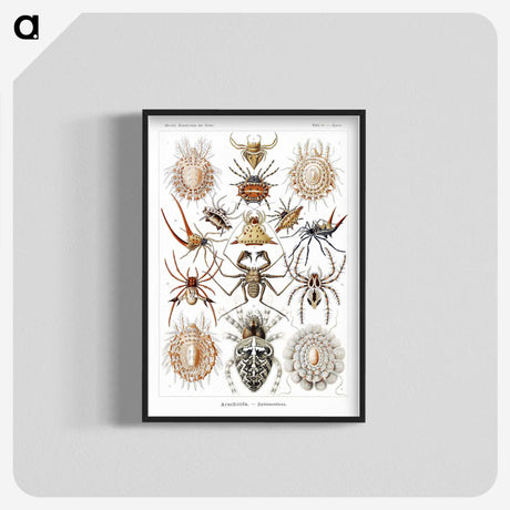 1-57_Ernst-Haeckel_blk-crop