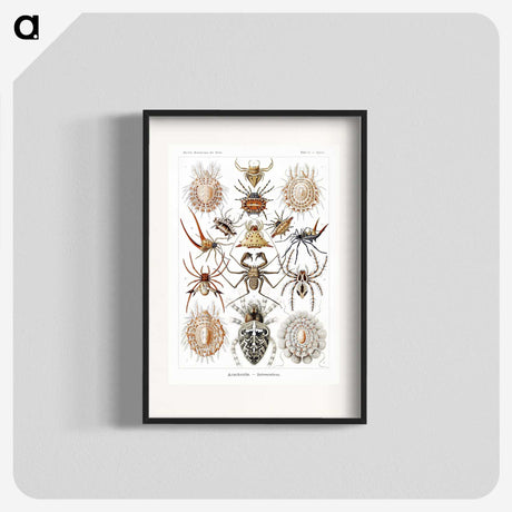 1-57_Ernst-Haeckel_blk