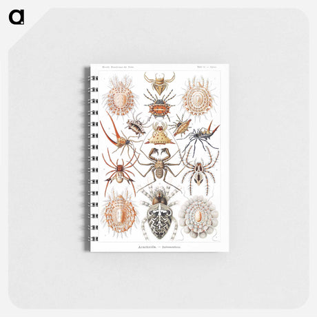 アートメモ帳-Arachnida–Spinnentiere from Kunstformen der Natur - エルンスト ヘッケル Memo.