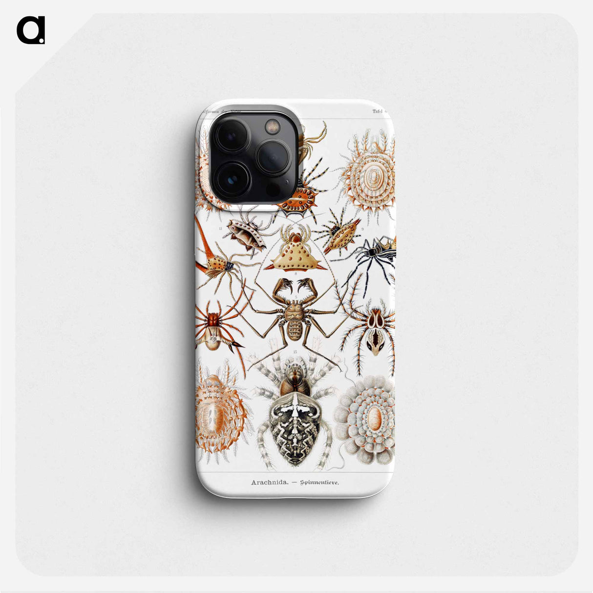 Arachnida–Spinnentiere from Kunstformen der Natur - エルンスト ヘッケル Phone Case.