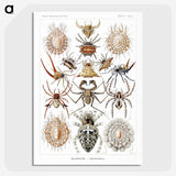 1-57_Ernst-Haeckel_picture-crop