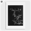1-57_Frederick-Charles-Brockett_picture