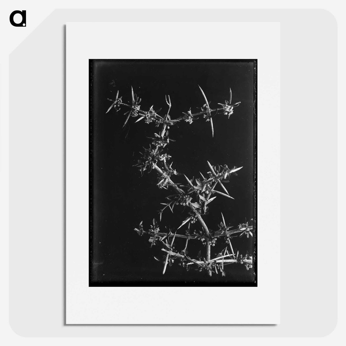 1-57_Frederick-Charles-Brockett_picture