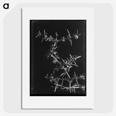 1-57_Frederick-Charles-Brockett_picture