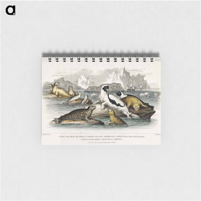 アートメモ帳-Seals of the Scotch Coasts
 - ゴールドスミスの生き生きとした自然 Memo.