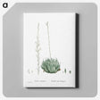 1-57_Histoire-des-Plantes-Grasses_canvas