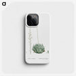 1-57_Histoire-des-Plantes-Grasses_phone
