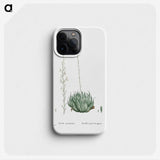 1-57_Histoire-des-Plantes-Grasses_phone