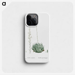 1-57_Histoire-des-Plantes-Grasses_phone
