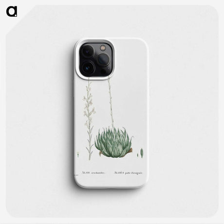 1-57_Histoire-des-Plantes-Grasses_phone