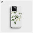 1-57_Hortus-Romanus-Botanical-Plates_phone