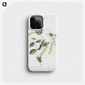 1-57_Hortus-Romanus-Botanical-Plates_phone