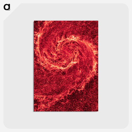 アートポストカード-Whirlpool Galaxy
 - ハッブル画像 Postcard.