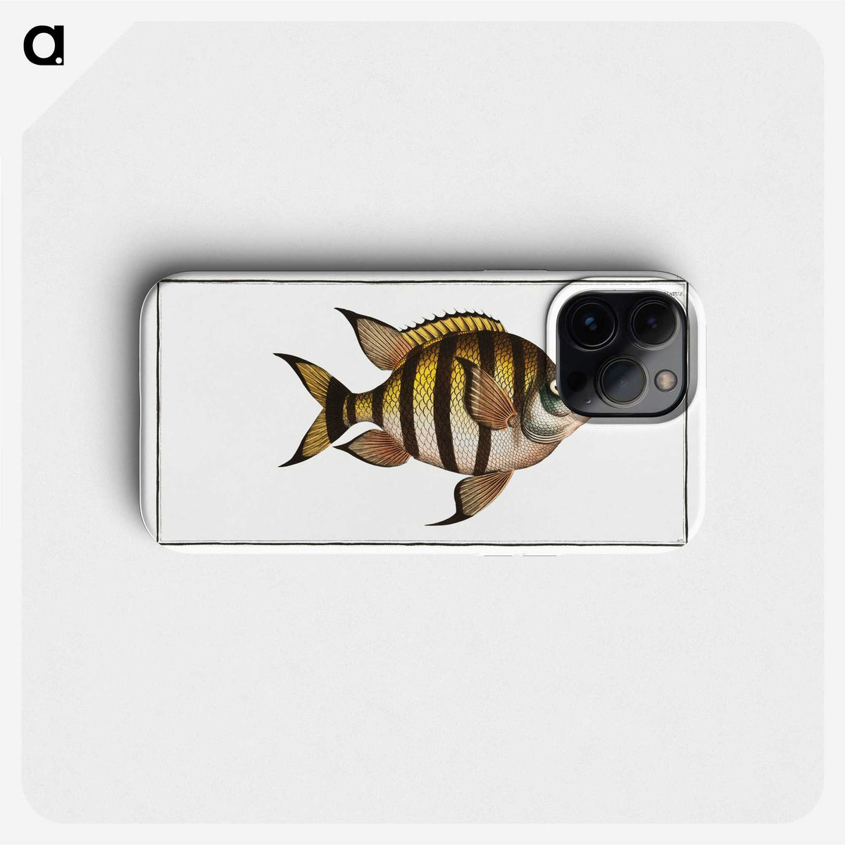 1-57_Ichtyologie-ou-Histoire-naturelle_phone