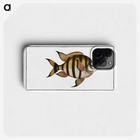 1-57_Ichtyologie-ou-Histoire-naturelle_phone