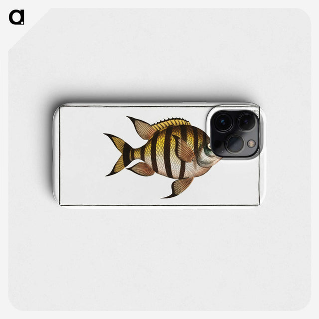 1-57_Ichtyologie-ou-Histoire-naturelle_phone