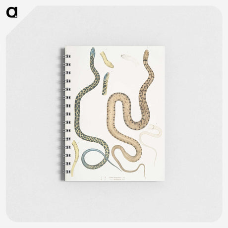1-57_Indian-Zoology_memo