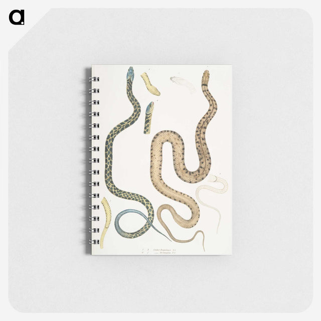 1-57_Indian-Zoology_memo