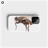 1-57_Insects-Unlocked-Project_phone