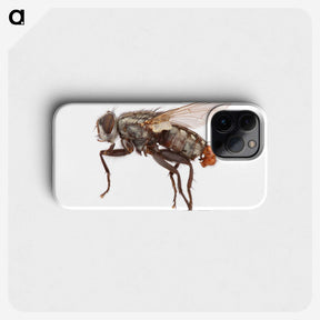 1-57_Insects-Unlocked-Project_phone
