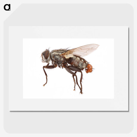 1-57_Insects-Unlocked-Project_picture