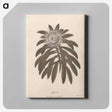 1-57_James-Heath_canvas