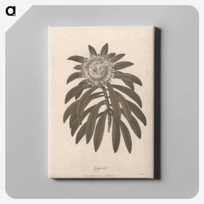 1-57_James-Heath_canvas