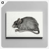 1-57_Jean-Bernard_canvas