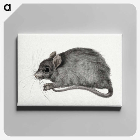 アートパネル-Mouse - ジャン ベルナール Canvas.