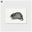 アートポストカード-Mouse - ジャン ベルナール Postcard.