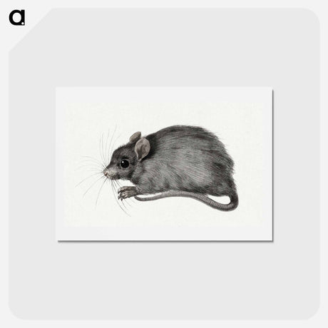 アートポストカード-Mouse - ジャン ベルナール Postcard.