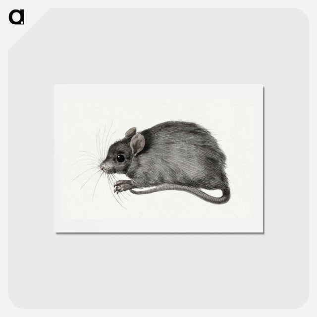 アートポストカード-Mouse - ジャン ベルナール Postcard.