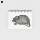 1-57_Jean-Bernard_memo