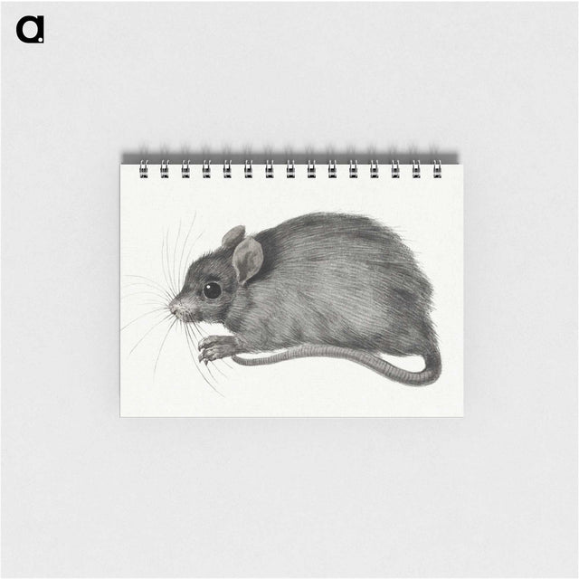 1-57_Jean-Bernard_memo