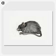 1-57_Jean-Bernard_picture