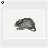 1-57_Jean-Bernard_picture