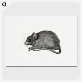 1-57_Jean-Bernard_picture