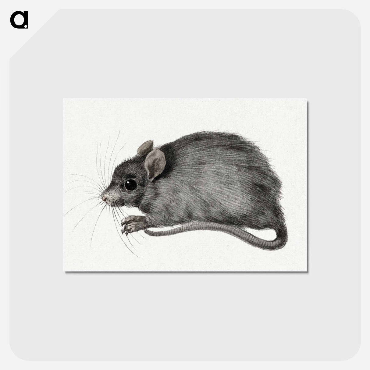 アートポストカード-Mouse - ジャン ベルナール Postcard.