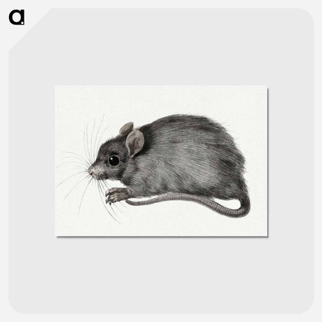 アートポストカード-Mouse - ジャン ベルナール Postcard.